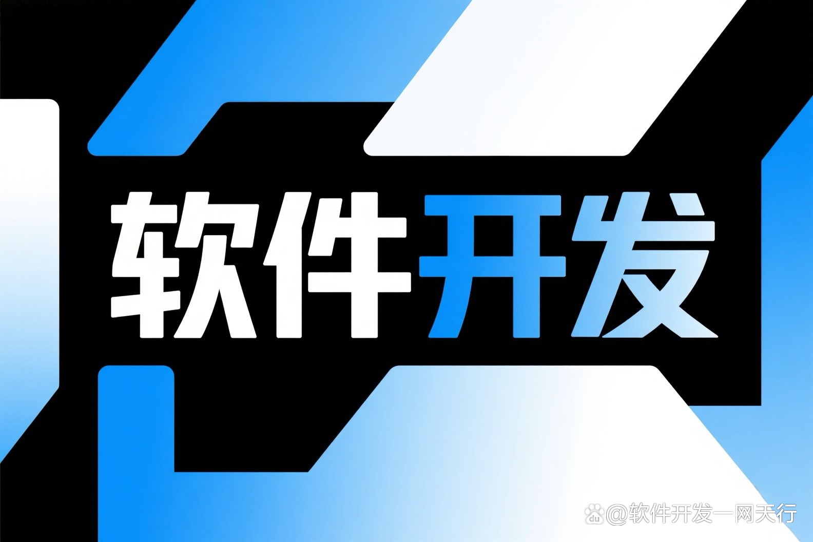寵物服務軟件定制開發費用解析 影響因素與服務模式選擇