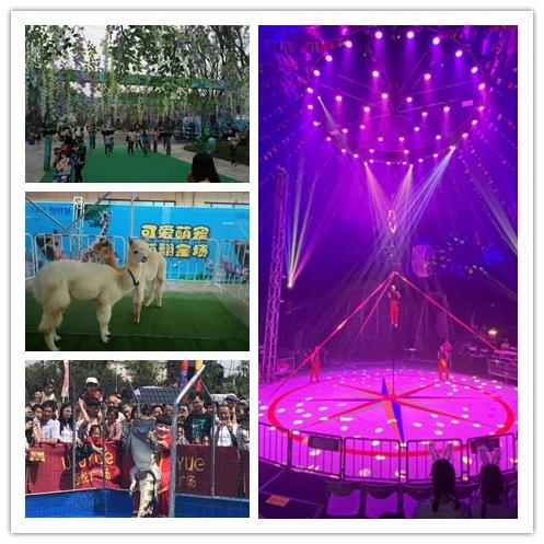 寧夏回族自治區(qū)當?shù)刈赓U馬戲團租賃海洋展暖場方案