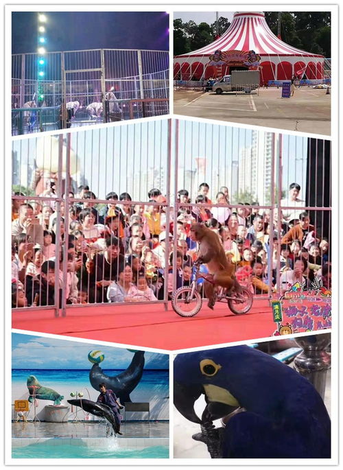 丹陽出租海洋生物魚缸展驚爆眼球