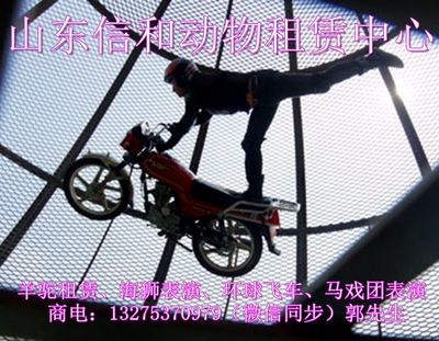 哪里有出租馬戲團(tuán)表演的