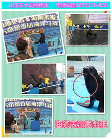 鄧州所有動(dòng)物種類展覽暖場(chǎng)