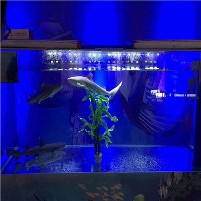 玉林大型馬戲團(tuán)表演出租出租專業(yè)租賃服務(wù)商