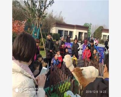 資中縣馬戲團(tuán)室外表演