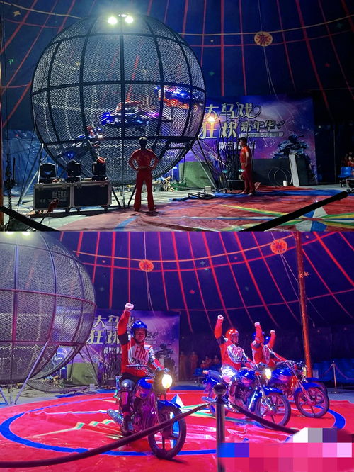 熱度推薦 黃岡市出租雜技馬戲團(tuán)2023更新中