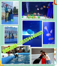 馬戲團(tuán)表演出租六安市