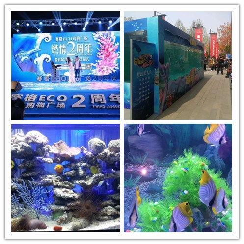 上饒市羊駝?wù)钩鲎庾赓U三天活動