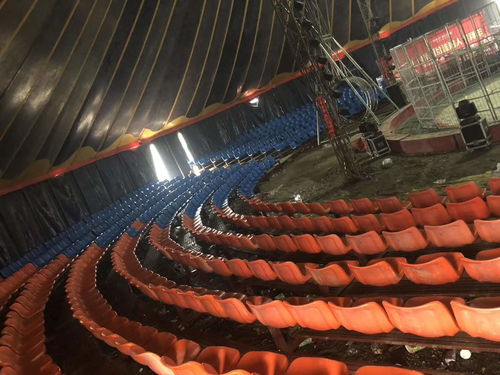 馬戲團(tuán)出租 延安趣味萌寵動物