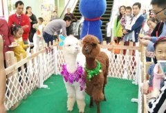 舉行一場萌寵動物展覽活動費用明細