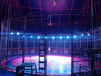 歡迎來電了解 烏魯木齊馬戲團(tuán)租賃表演公司