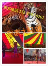 【(1圖)北海哪里有馬戲團表演出租】- 北海其他生活服務 - 北海列舉網