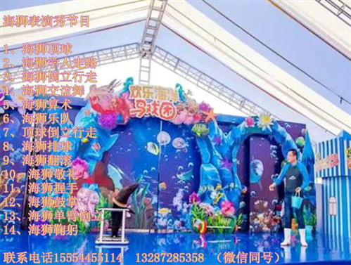 桂平哪里有出租馬戲團(tuán)演出服務(wù)