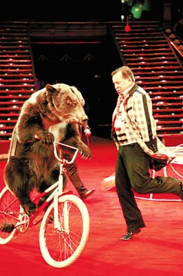 馬戲團(tuán)表演出租電話