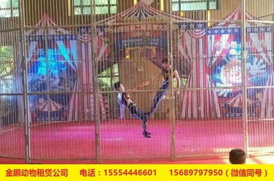 專業馬戲團表演團體出租租賃鶴壁_養殖/種植欄目_