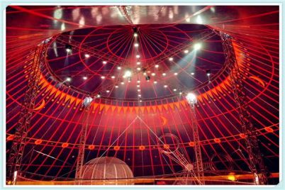 皇家馬戲團表演表演多少錢南昌