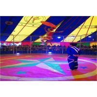 【湖北專業(yè)馬戲團雜技表演出租圖片】湖北專業(yè)馬戲團雜技表演出租