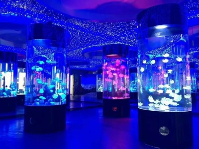 勝凱|動(dòng)物出租|馬戲團(tuán)表演出租|魚(yú)缸展|環(huán)球飛車(chē)|馴鹿出