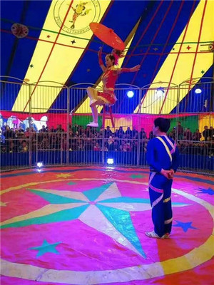 地產(chǎn)開(kāi)盤(pán)暖場(chǎng)大馬戲團(tuán)表演出租咨詢預(yù)定