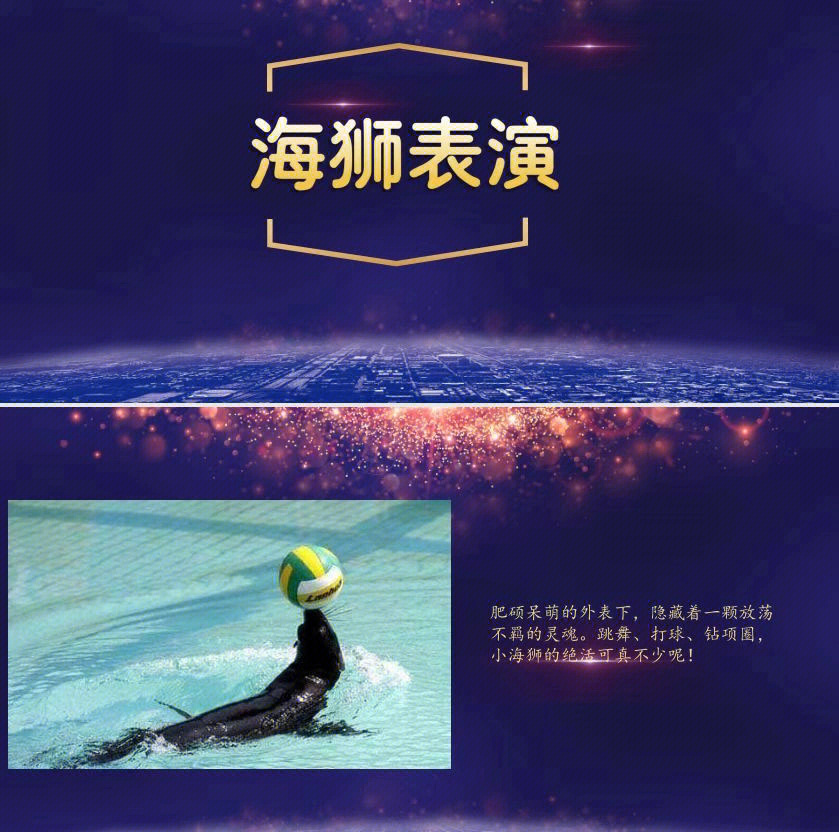 大飛輪表演租賃 #馬戲團(tuán)高空雜技表演出 - 抖音