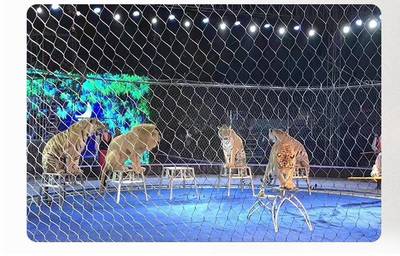 馬戲團(tuán)柔性防護(hù)網(wǎng) 馬戲團(tuán)安全圍欄網(wǎng)工廠(chǎng)定制