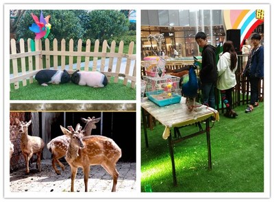 大馬戲表演節(jié)目大全