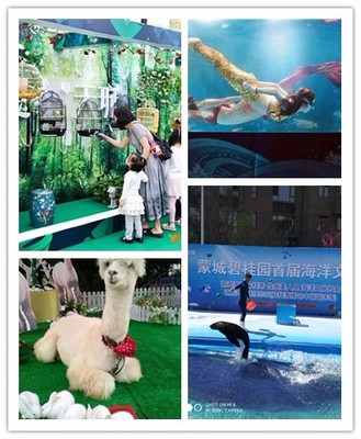 湖南省醴陵市 出租馬戲團表演與本地合作的新機遇