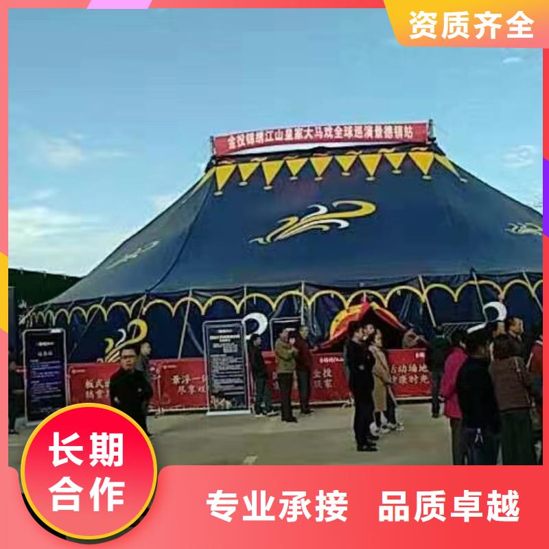 創意活動新風尚 馬戲團表演、羊駝出租與海獅互動好評如潮，冰雕展出租賃點亮城市魅力